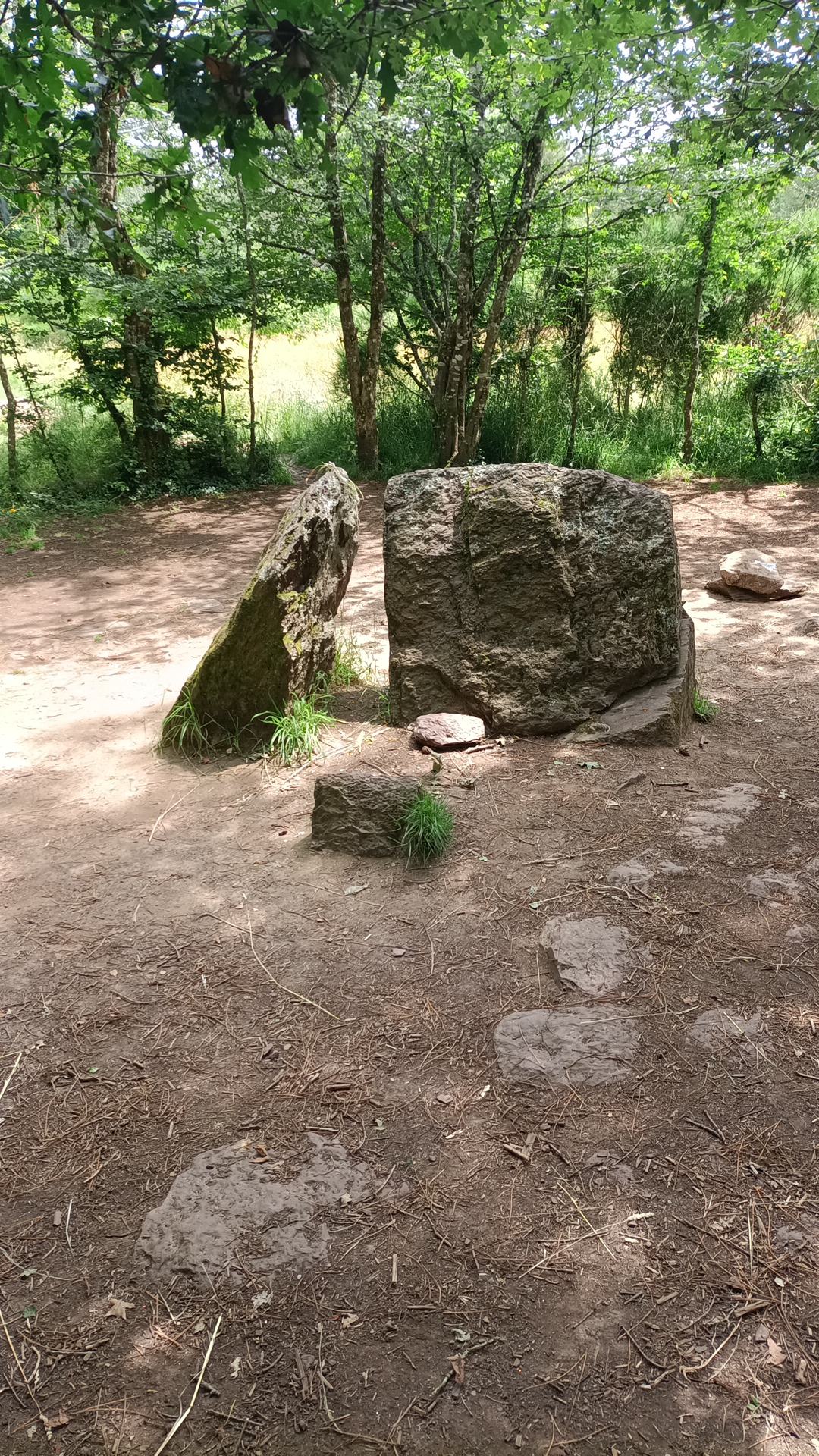 Photo n° 2 de l'avis de Anaxymene.e fait le 20/06/2023 à 12:22