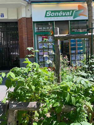 Sonéval Jourdain Immobilier à Paris