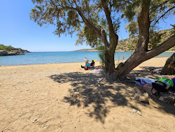 Kato Fana beach'in fotoğrafı vahşi alan
