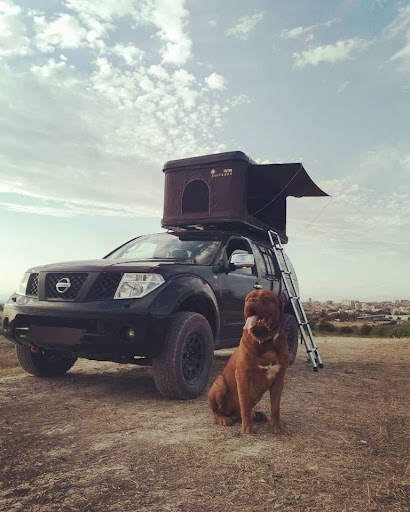 Used Car Dealer «Keating Nissan», reviews and photos, 333 Interstate 45 S, Conroe, TX 77304, USA