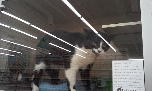 Pet Supply Store «Pet Supplies Plus», reviews and photos, 2155 Delaware Ave, Buffalo, NY 14216, USA