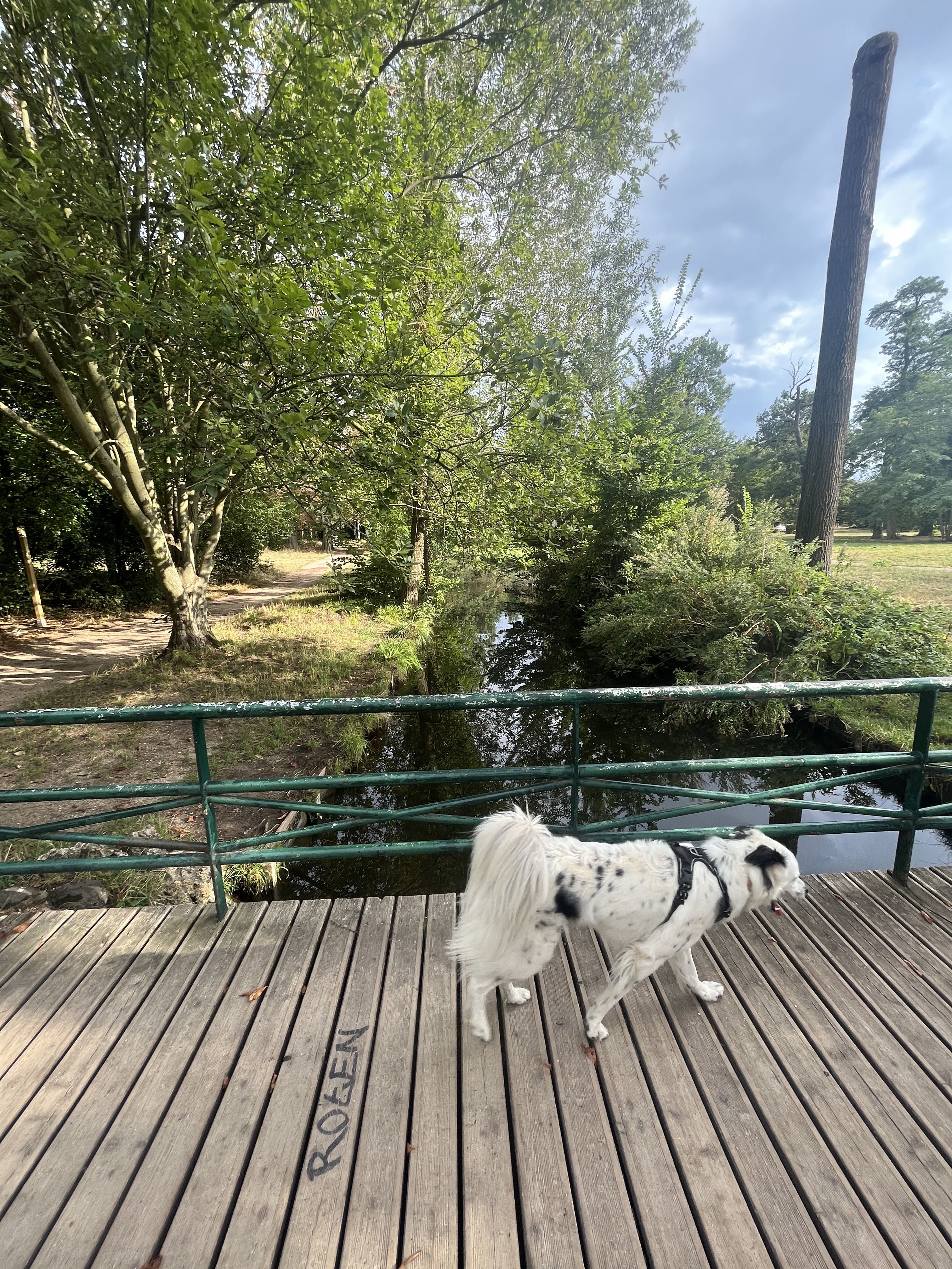 Photo n° 3 de l'avis de samer.u fait le 22/07/2023 à 15:57