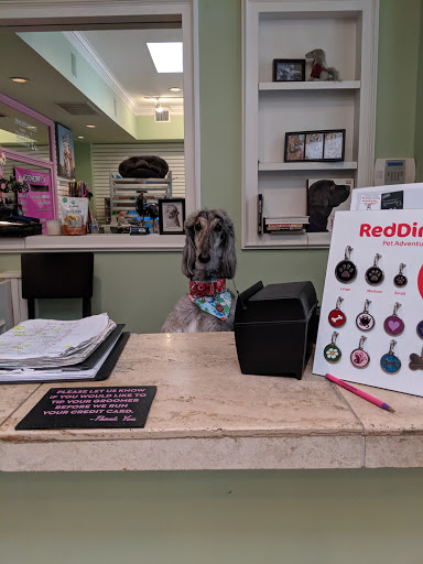 Pet Groomer «Doggie Style Bowtique», reviews and photos, 1713 Westport Rd, Kansas City, MO 64111, USA