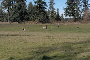 Fort Steilacoom Dog Park image