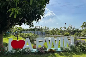 Arwin Bali scenic coastal plant image