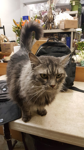 Florist «Garden Delights Fine Florist», reviews and photos, 2179 Hillsboro Rd, Franklin, TN 37069, USA