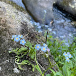 Photo n°6 de l'avis de Robert.r fait le 09/08/2022 à 17:11 sur le  Cafe - Pension Egerstau à Hohenberg an der Eger