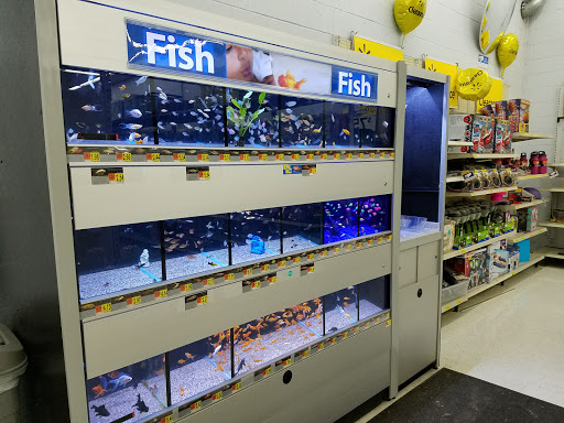 Department Store «Walmart Supercenter», reviews and photos, 1407 N Loop 336 W, Conroe, TX 77304, USA