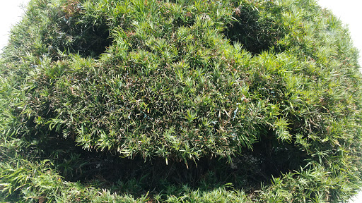 Sporting Goods Store «Big 5 Sporting Goods», reviews and photos, 510 N Victory Blvd, Burbank, CA 91502, USA