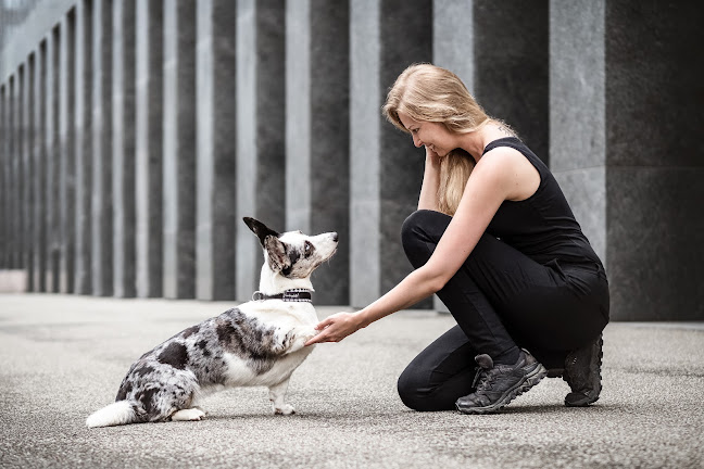 Kommentare und Rezensionen über Hund im Alltag - Hundebetreuung und Verhaltensberatung