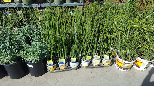 Home Improvement Store «The Home Depot», reviews and photos, 111 Shoreline Pkwy, San Rafael, CA 94901, USA