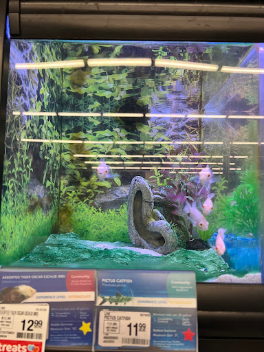 Pet Supply Store «PetSmart», reviews and photos, 1410 NE 23rd St, Pompano Beach, FL 33062, USA