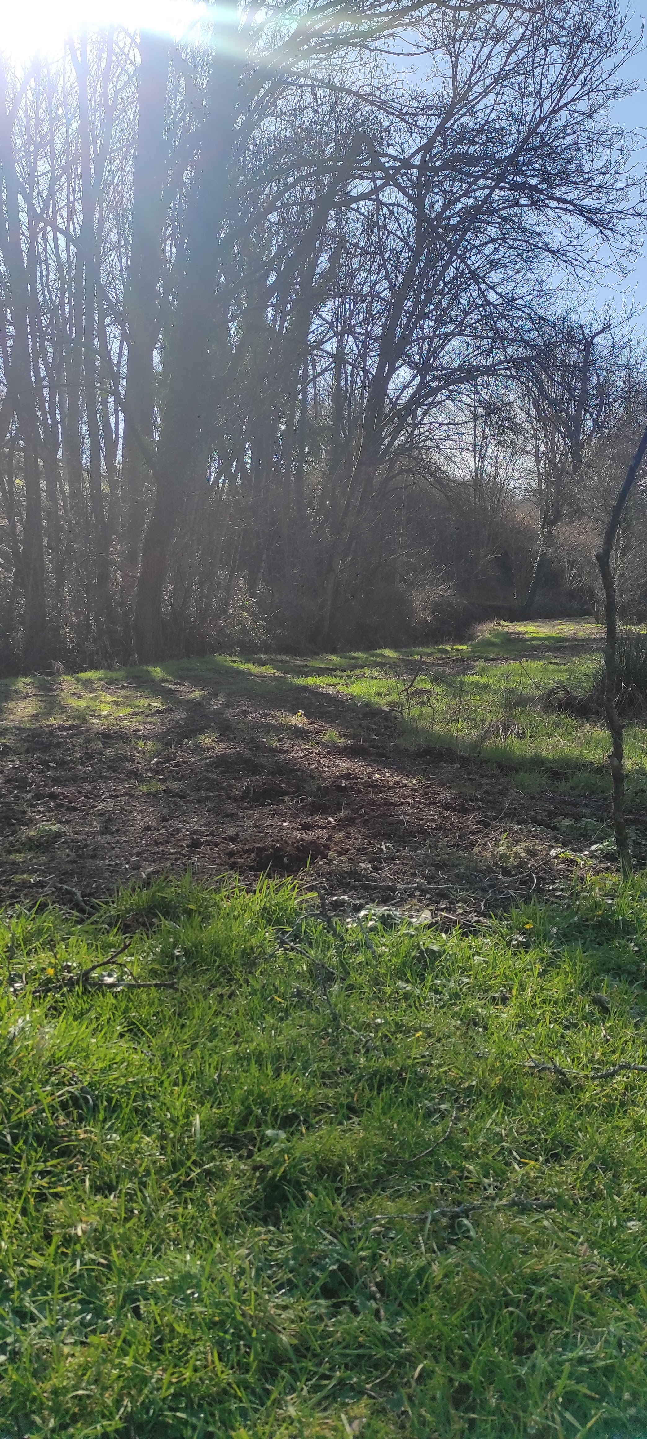 Photo n° 4 de l'avis de Laurence.o fait le 17/02/2023 à 20:20