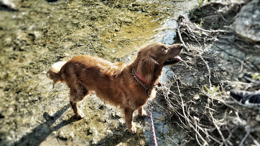 Park «Buffalo Ridge Park», reviews and photos, 5720 Parkwood Trail, Haltom City, TX 76137, USA