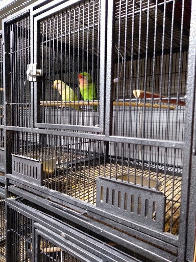 Pet Store «Brooklyn Zoo & Aquarium Pet Store», reviews and photos, 2377 Ralph Ave, Brooklyn, NY 11234, USA