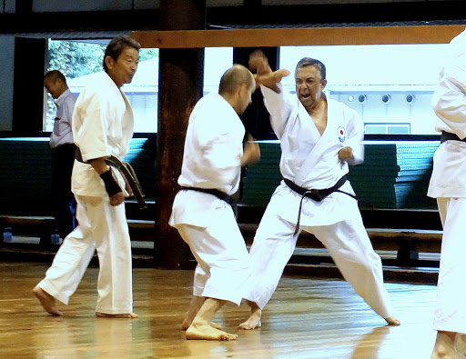 Seibukan Okinawa Goju-Ryu Karate Do