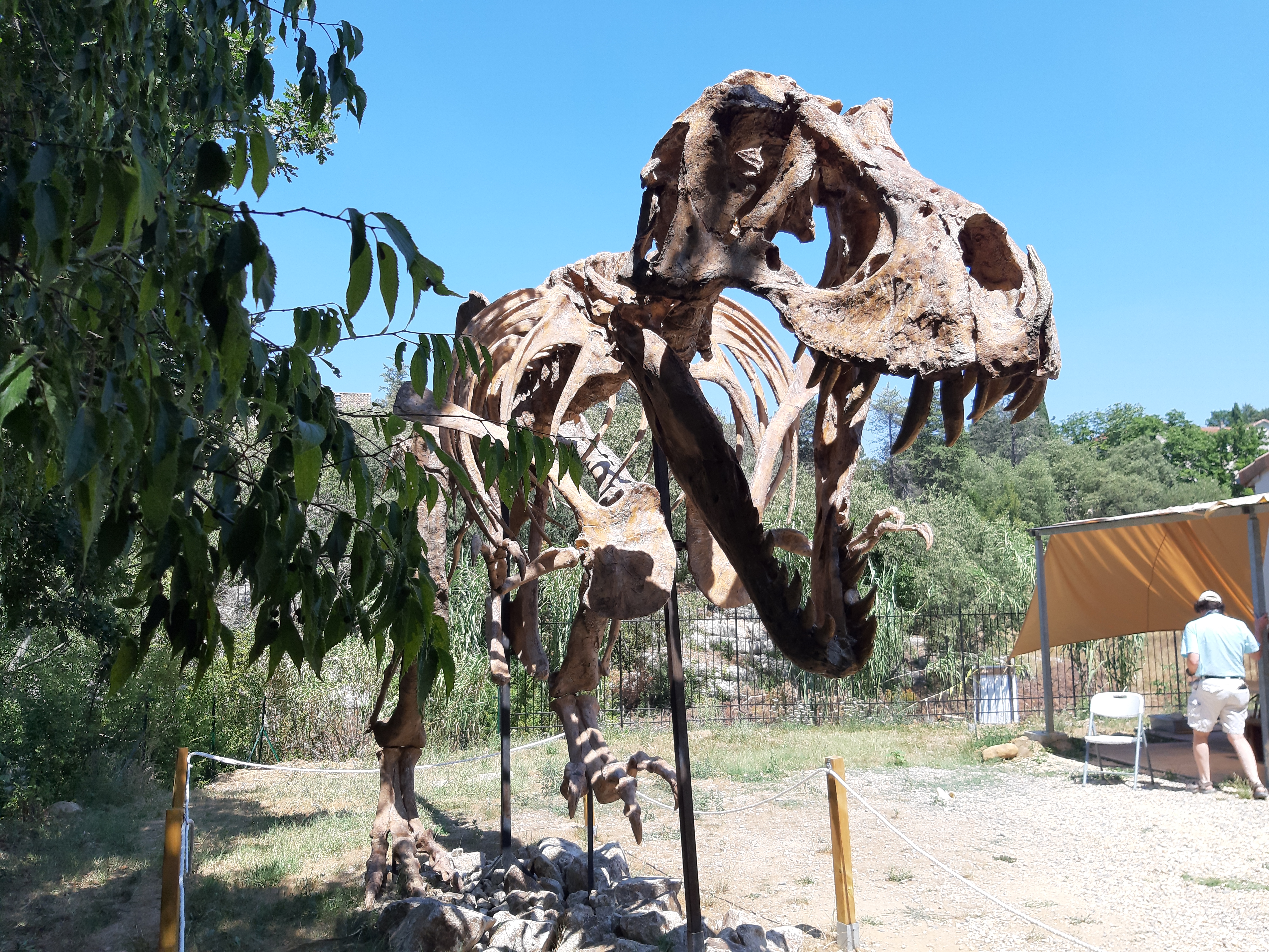 Photo n° 1 de l'avis de Guigeek_22. fait le 27/07/2019 à 09:37