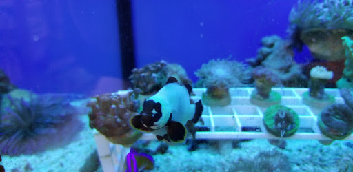 Pet Supply Store «Petco Animal Supplies», reviews and photos, 1483 NJ-23 #14b, Kinnelon, NJ 07405, USA