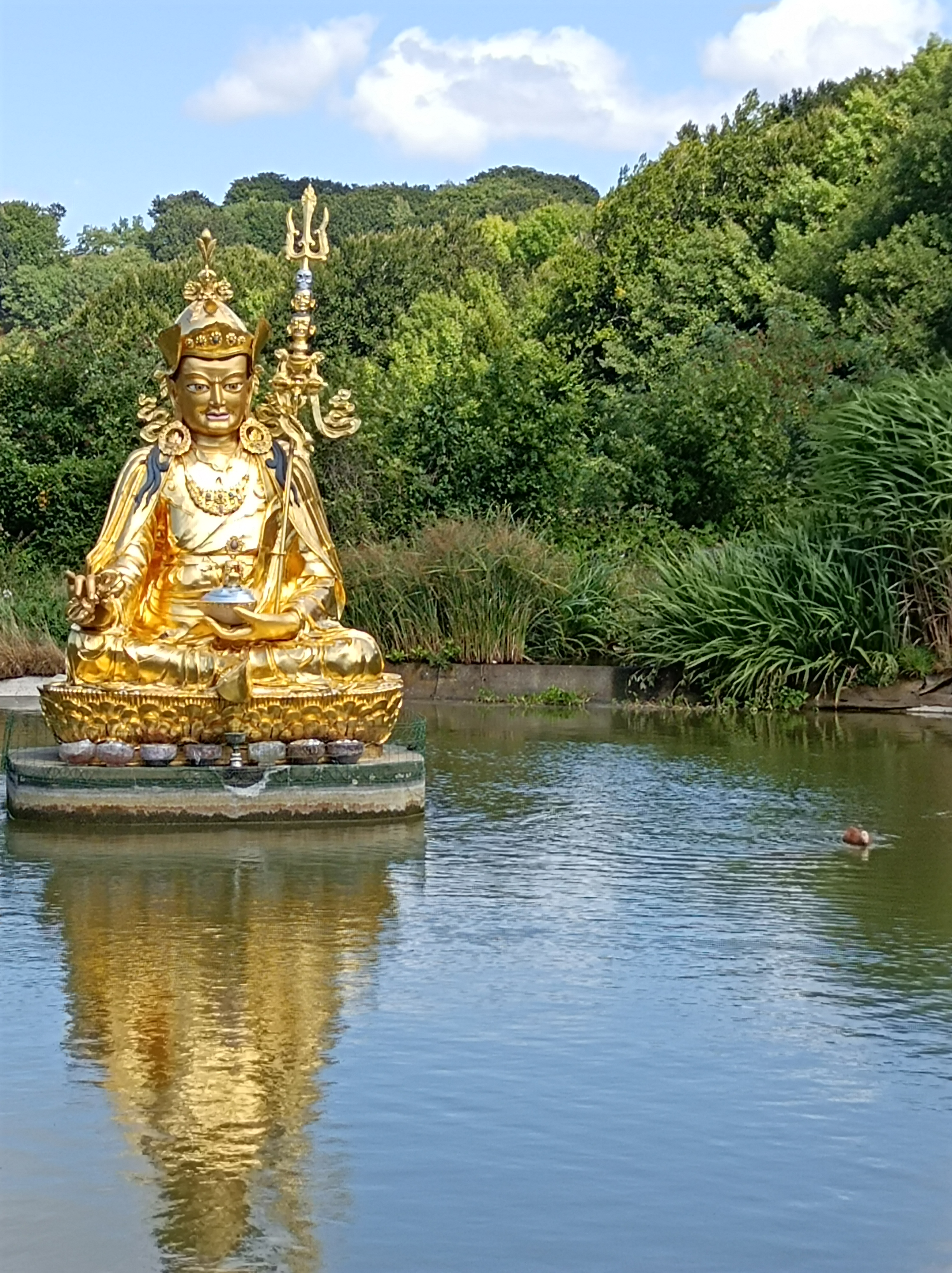 Photo n° 27 de l'avis de Elisabeth.e fait le 04/09/2022 à 20:16