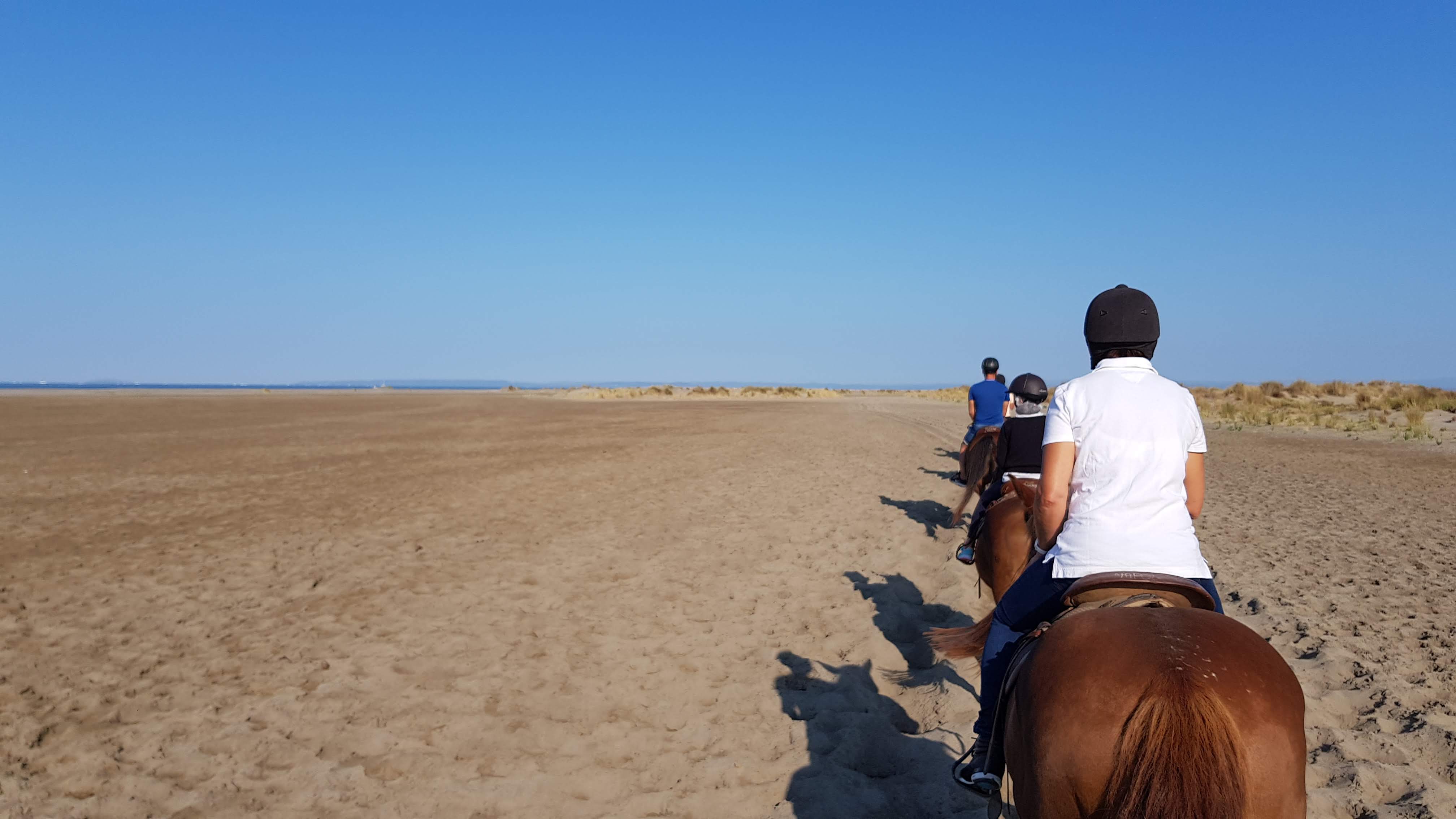 Photo n° 11 de l'avis de Franck. fait le 23/08/2018 à 12:53