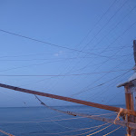 Photo n°10 de l'avis de Luca.i fait le 22/07/2023 à 06:13 sur le  Ristorante Trabocco Punta Fornace à Marina di San Vito