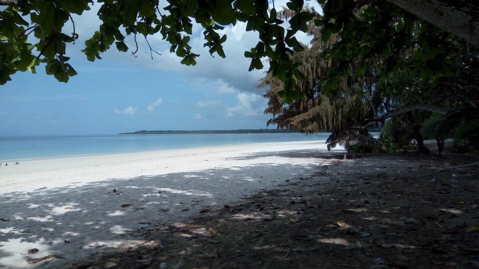 Photo of Vumawimbi Beach with partly clean level of cleanliness