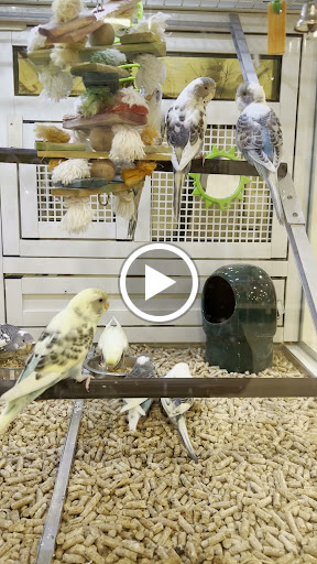 Pet Supply Store «PetSmart», reviews and photos, 1040 Cross Creek Dr, Saltillo, MS 38866, USA