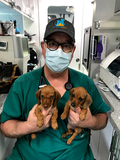 Neighborhood Vets Mobile Care image