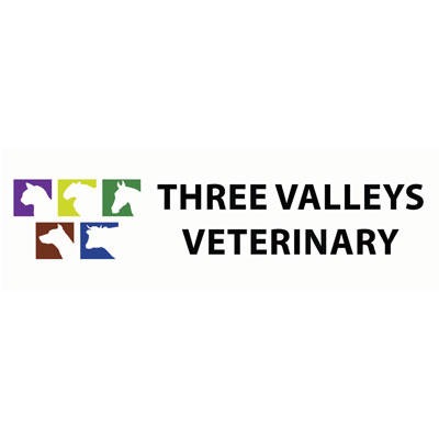 Reviews of Three Valleys Veterinary - Fivemiletown in Dungannon - Veterinarian