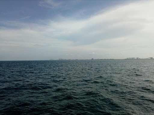 Museum «International Swimming Hall of Fame Museum», reviews and photos, 1 Hall of Fame Dr, Fort Lauderdale, FL 33316, USA