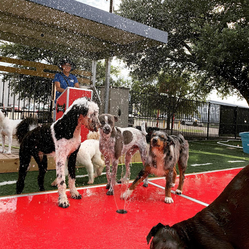 Houston Bark Park and Daycare