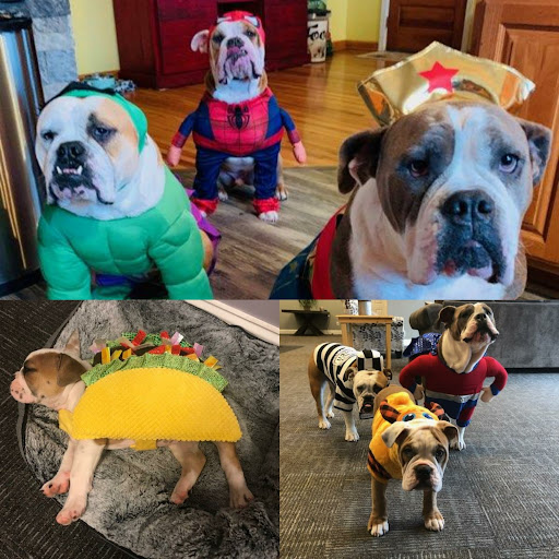 Insurance Agency «Lesa Yoho - State Farm Insurance Agent», reviews and photos