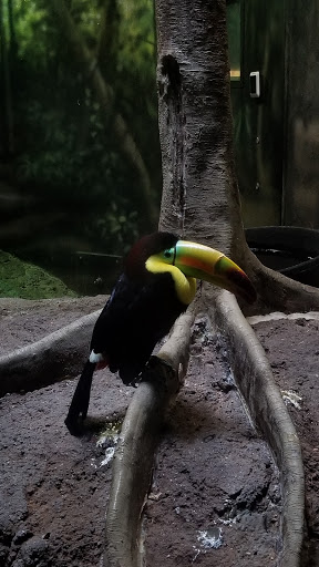 Zoo «Monkey Island», reviews and photos, 8 E 23rd Ave, Denver, CO 80205, USA