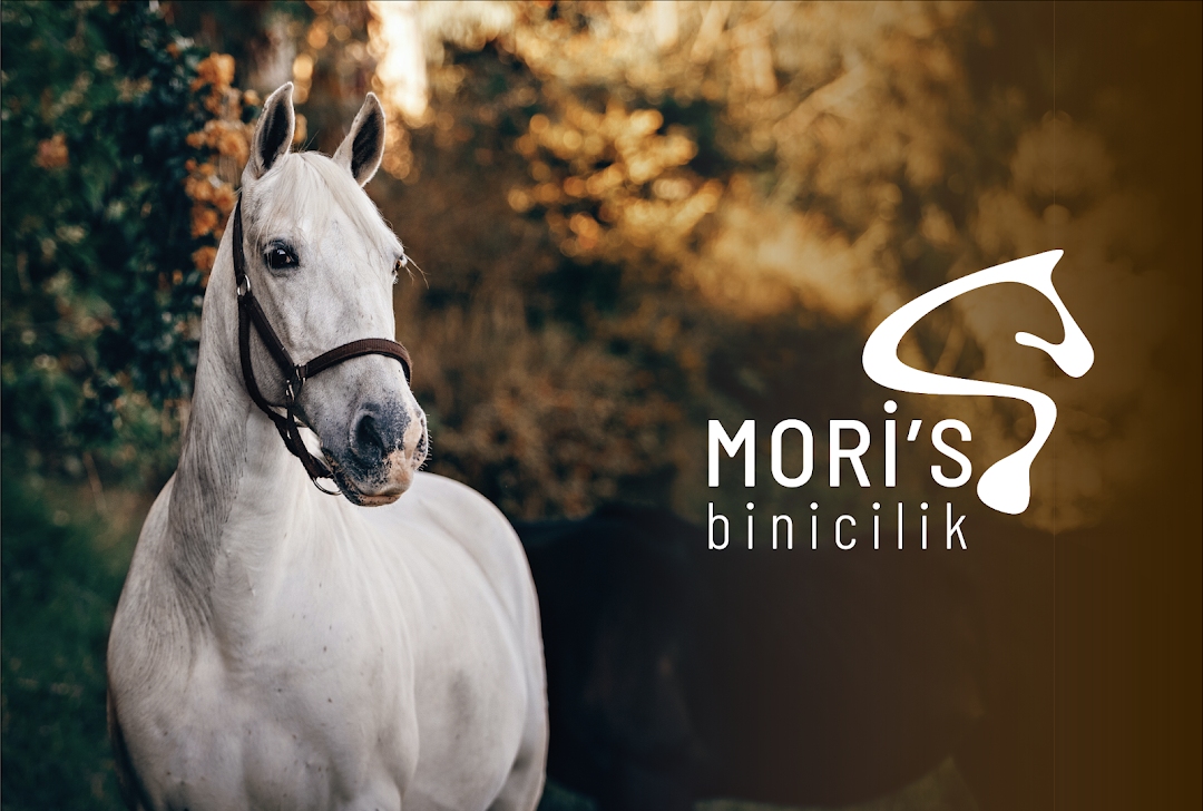 Moris binicilik kulübü