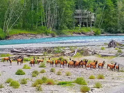 National Park «Olympic National Park», reviews and photos, 3002 Mt Angeles Rd, Port Angeles, WA 98362, USA