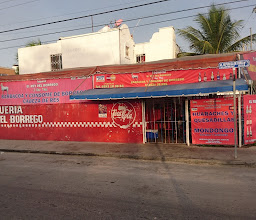 Borrego De Buñuel photo