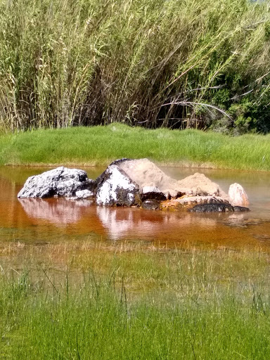 Tourist Attraction «Old Faithful Geyser of California», reviews and photos, 1299 Tubbs Ln, Calistoga, CA 94515, USA