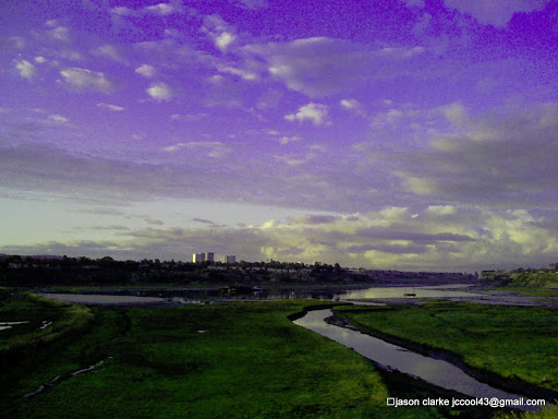 Nature Preserve «Peter and Mary Muth Interpretive Center», reviews and photos, 2301 University Dr, Newport Beach, CA 92660, USA