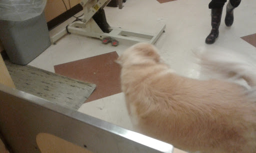 Pet Supply Store «PetSmart», reviews and photos, 849 E 23rd St, Panama City, FL 32405, USA