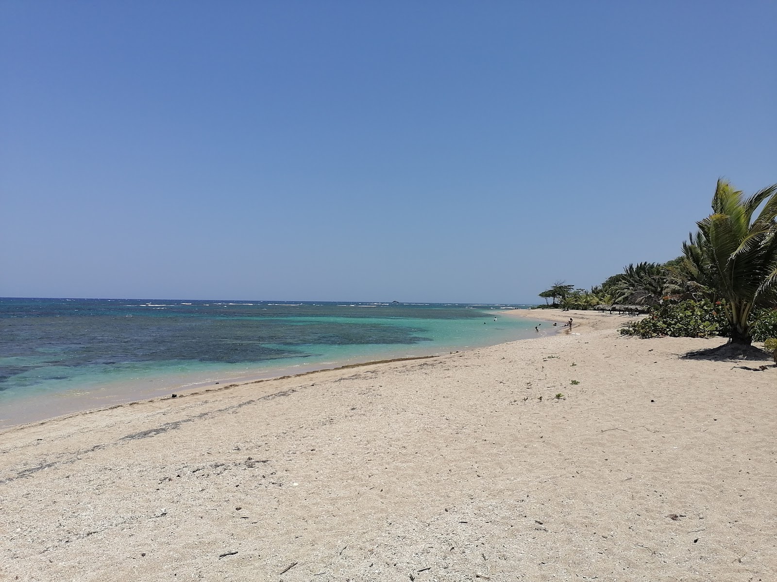 Photo de Playa Grande et le règlement