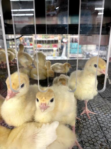 Home Improvement Store «Tractor Supply Co.», reviews and photos, 1360 Strickler Rd, Mount Joy, PA 17552, USA