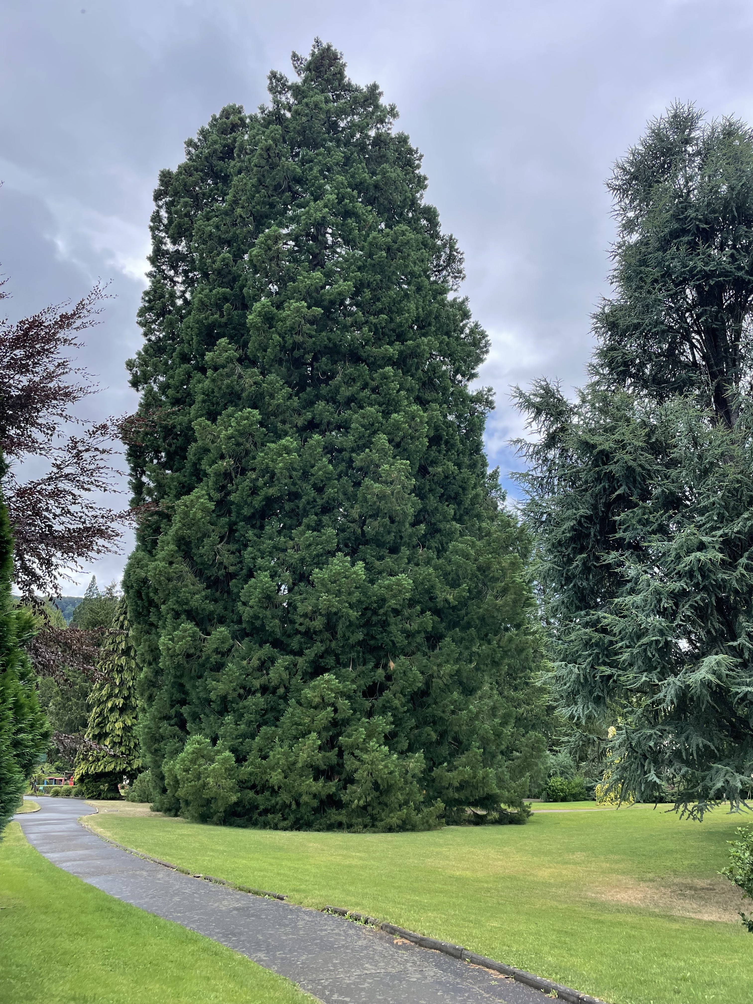 Photo n° 1 de l'avis de la.i fait le 25/07/2023 à 18:29