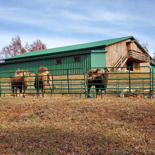 Zoo «Chestatee Wildlife Preserve & Zoo», reviews and photos, 469 Old Dahlonega Hwy, Dahlonega, GA 30533, USA