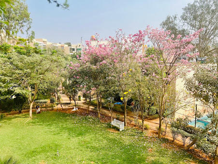 Google Maps image 17