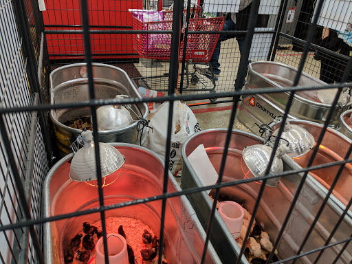 Home Improvement Store «Tractor Supply Co.», reviews and photos, 256 US-206 #13, Hillsborough Township, NJ 08844, USA