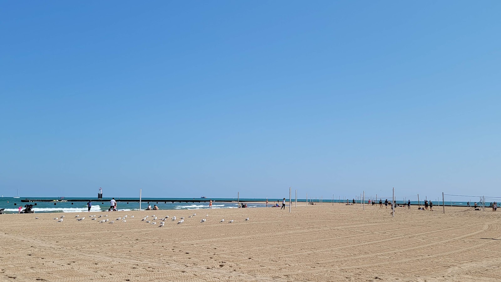 Zdjęcie North Avenue Beach z poziomem czystości wysoki
