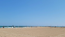 North Avenue Beach'in fotoğrafı imkanlar alanı