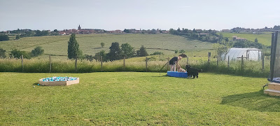 Cani activity à Périgneux