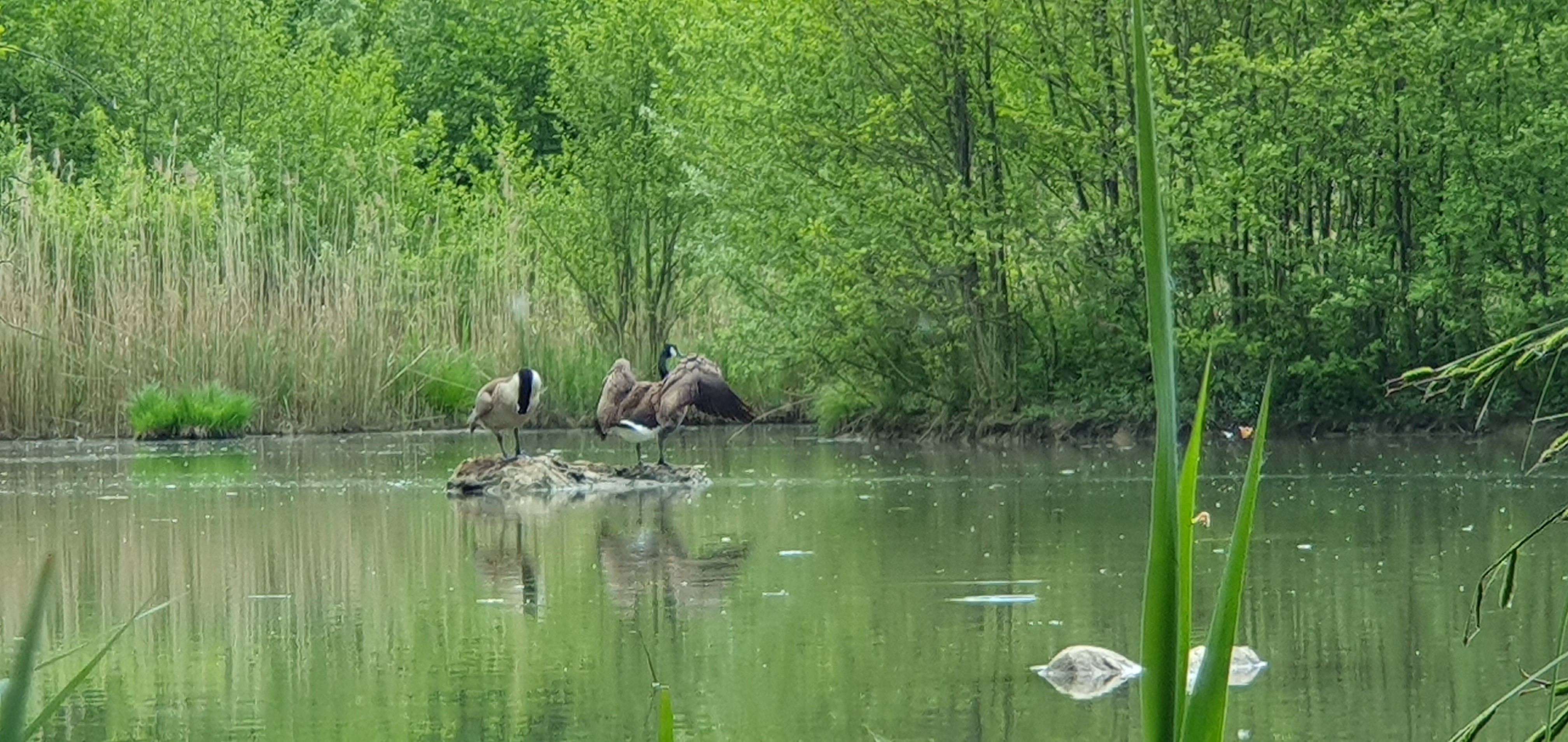 Photo n° 2 de l'avis de Thorkass. fait le 20/05/2023 à 14:06