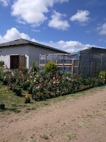 7QH3+G4P, 15900 Las Piedras, Departamento de Canelones